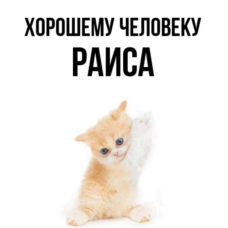 Картинка Хорошему человеку, Раиса