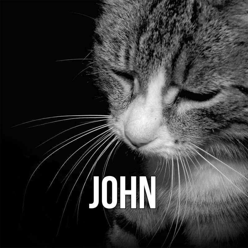 Картинка  с именем , John