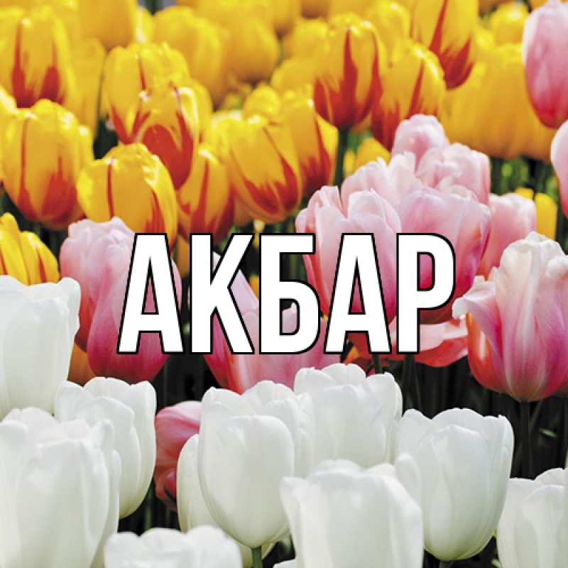 Картинка  с именем , Акбар