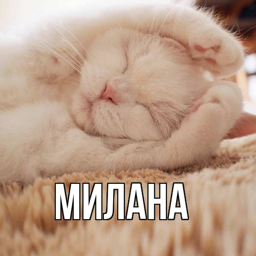 Открытка  с именем. Милана, Главная  