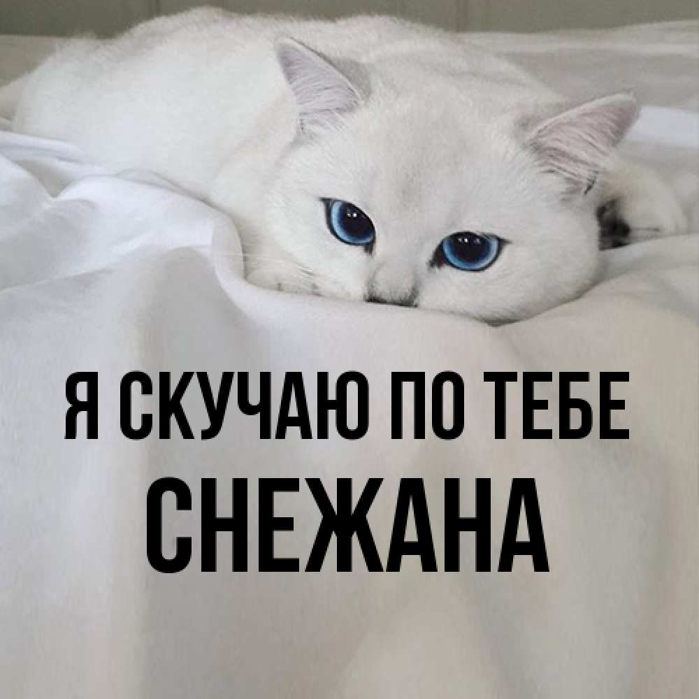 Открытка  с именем. Снежана, Я скучаю по тебе  