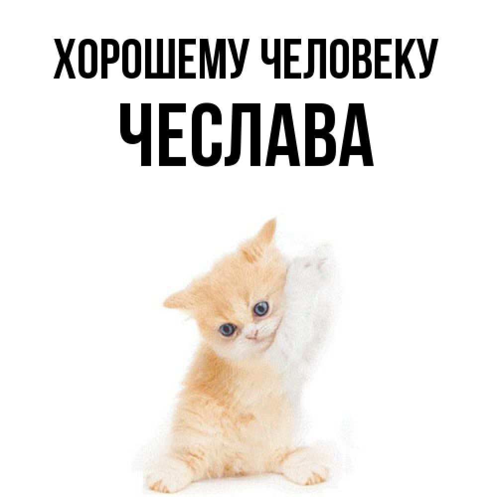 Открытка  с именем. Чеслава, Хорошему человеку  