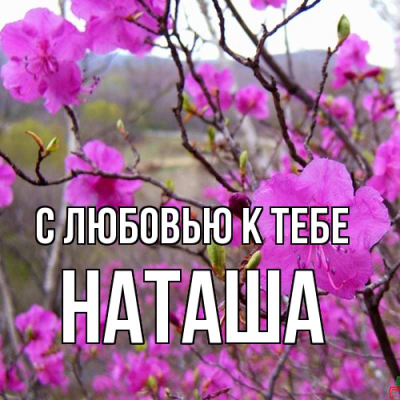 Картинка С любовью к тебе, Наташа