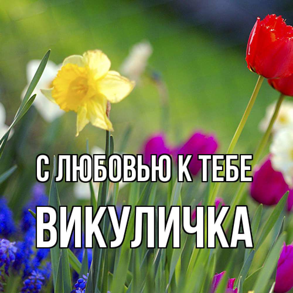 Открытка  с именем. Викуличка, С любовью к тебе  