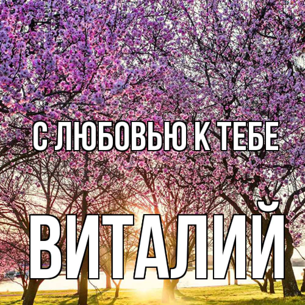 Открытка  с именем. Виталий, С любовью к тебе  