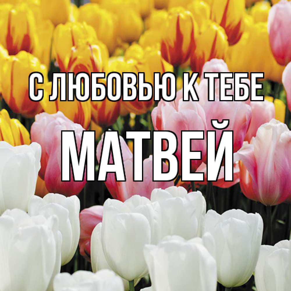 Открытка  с именем. Матвей, С любовью к тебе  