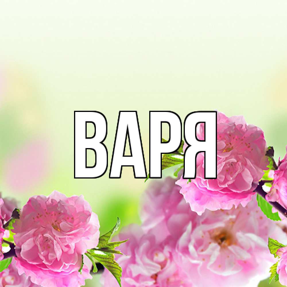 Открытка  с именем. варя, Главная  