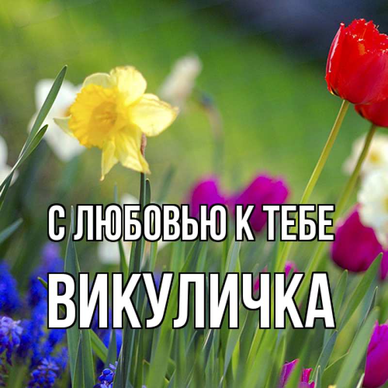 Картинка С любовью к тебе, Викуличка