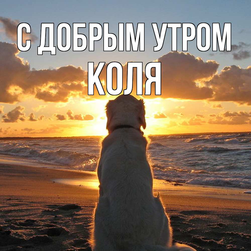 Открытка  с именем. КОЛЯ, С добрым утром  