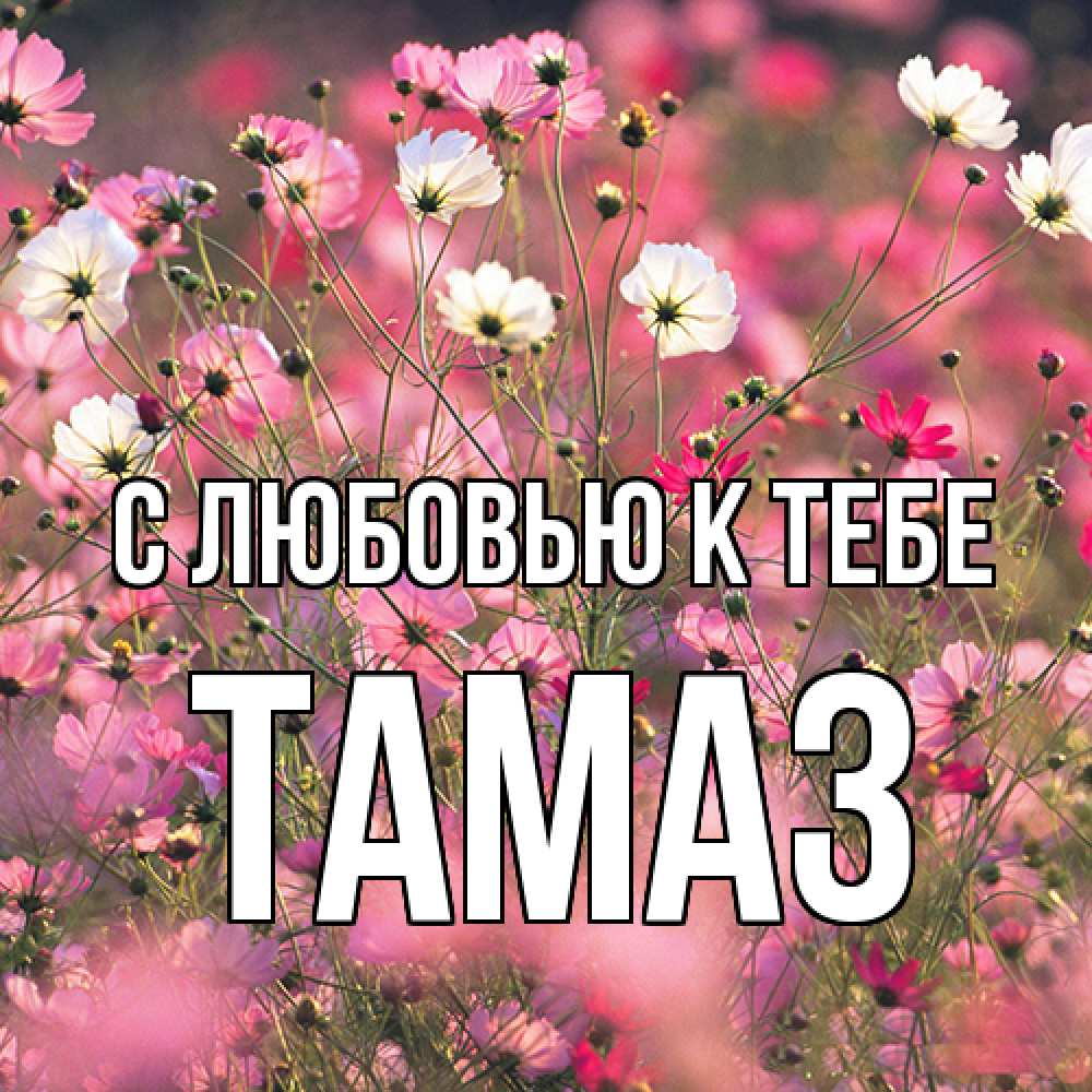 Открытка  с именем. Тамаз, С любовью к тебе  