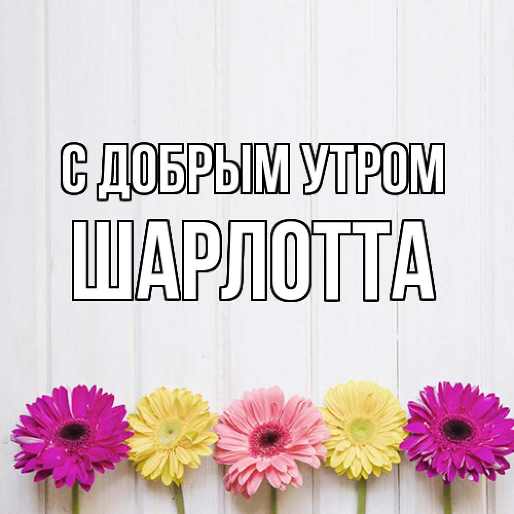 Открытка  с именем. Шарлотта, С добрым утром  