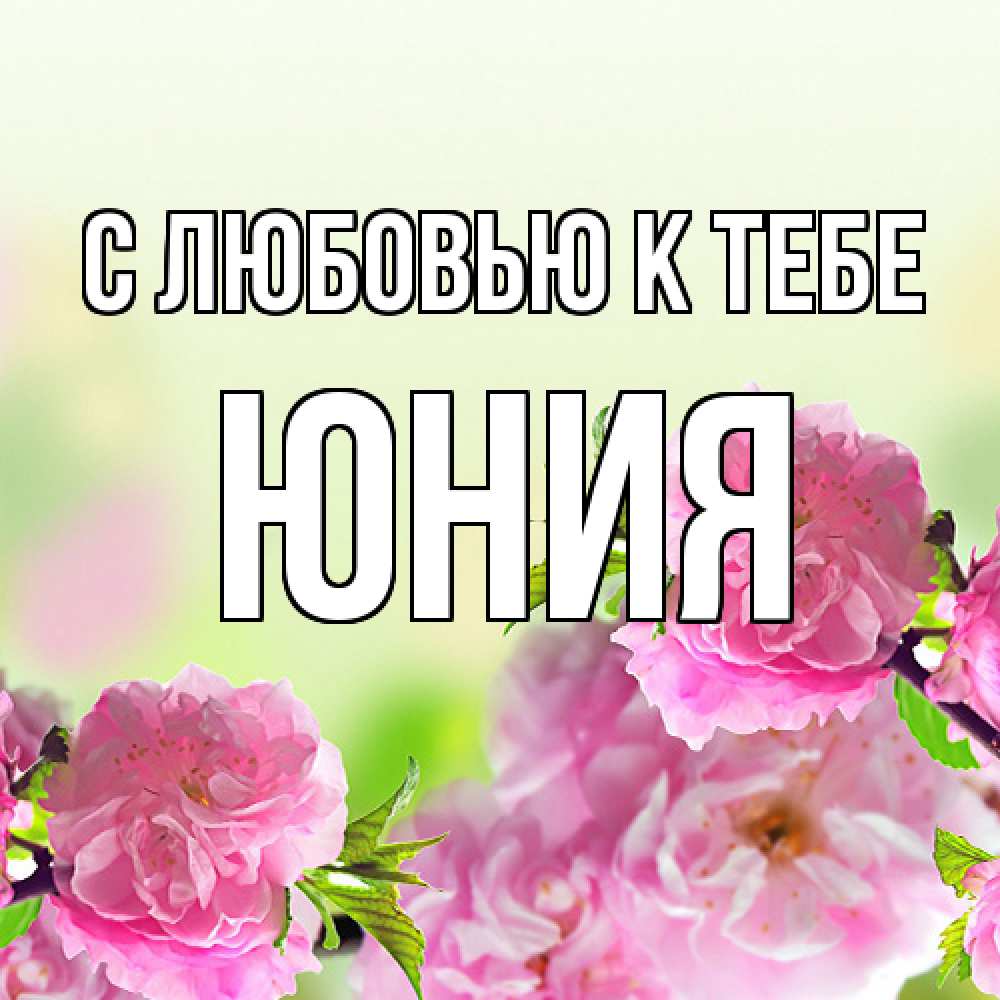 Открытка  с именем. Юния, С любовью к тебе  
