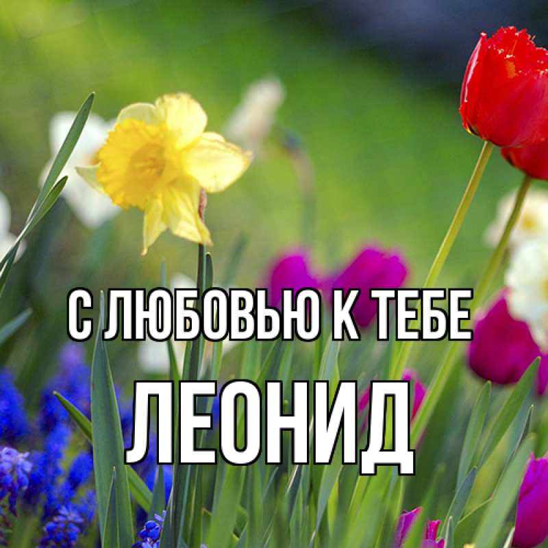 Картинка С любовью к тебе, Леонид