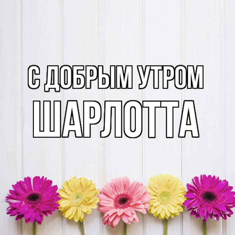Картинка С добрым утром, Шарлотта