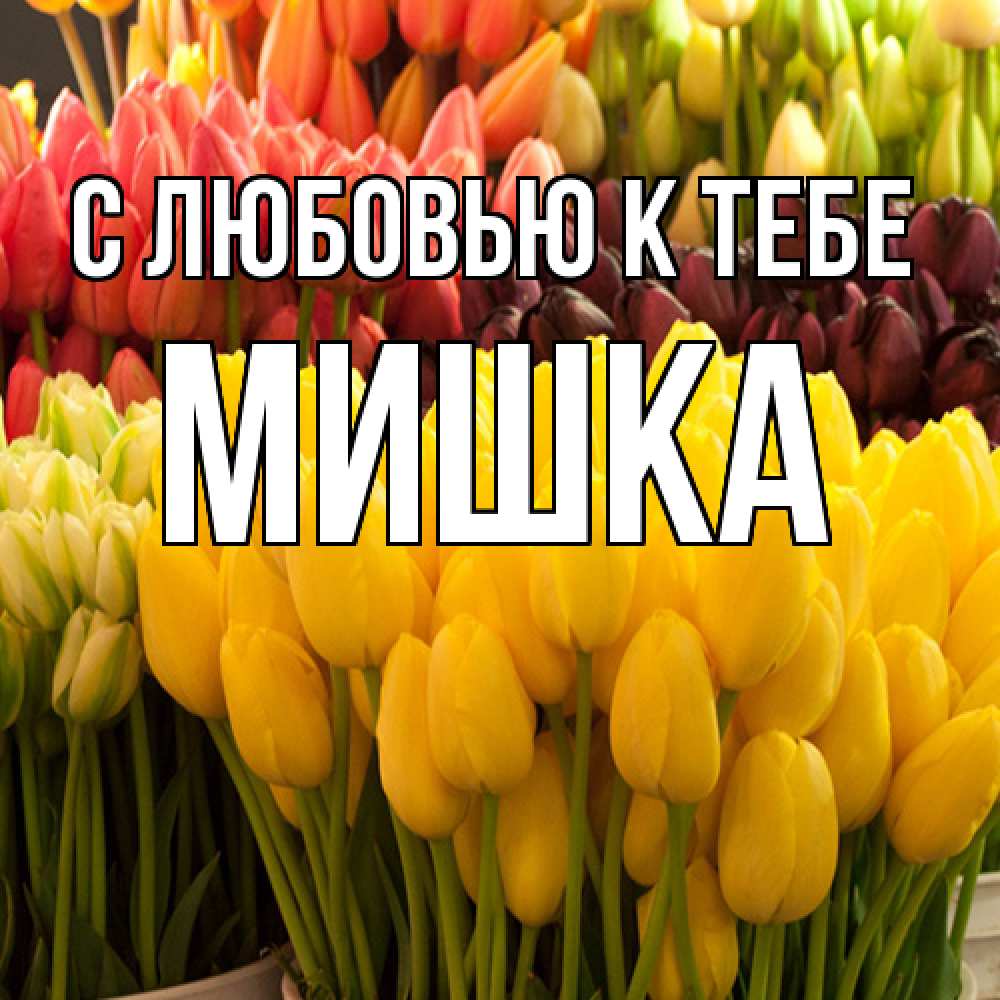 Открытка  с именем. Мишка, С любовью к тебе  