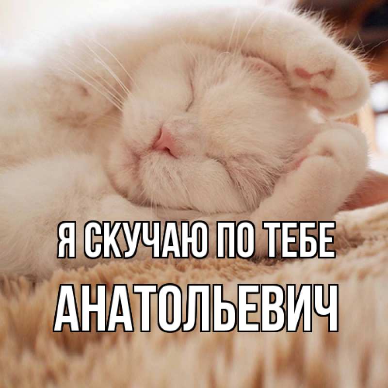Картинка Я скучаю по тебе, Анатольевич