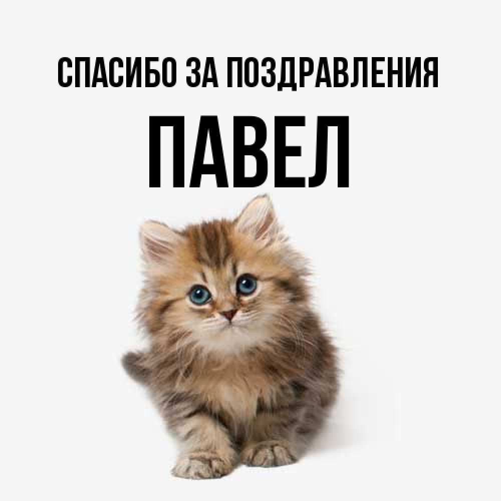 Открытка  с именем. Павел, Спасибо за поздравления  
