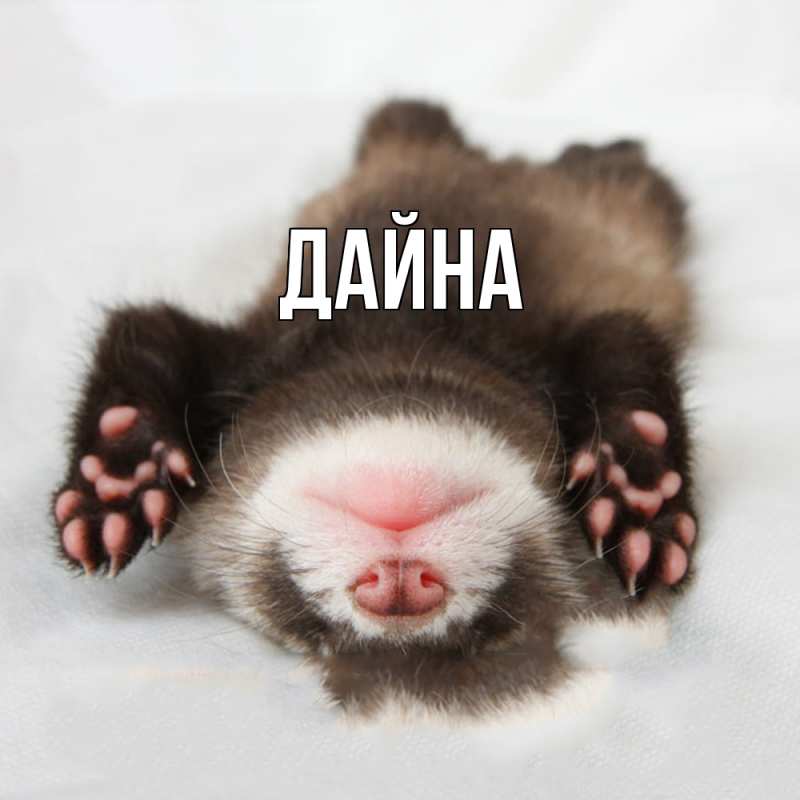 Картинка  с именем , Дайна