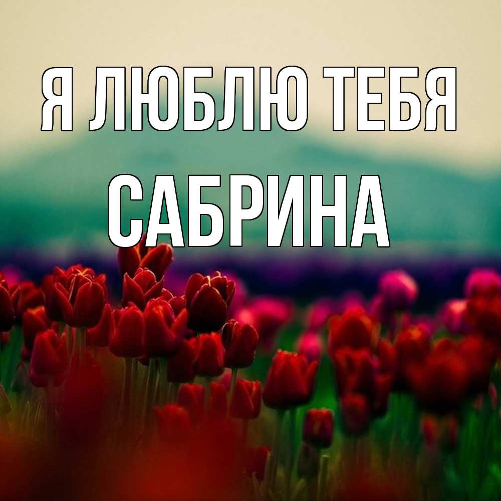 Открытка  с именем. Сабрина, Я люблю тебя  