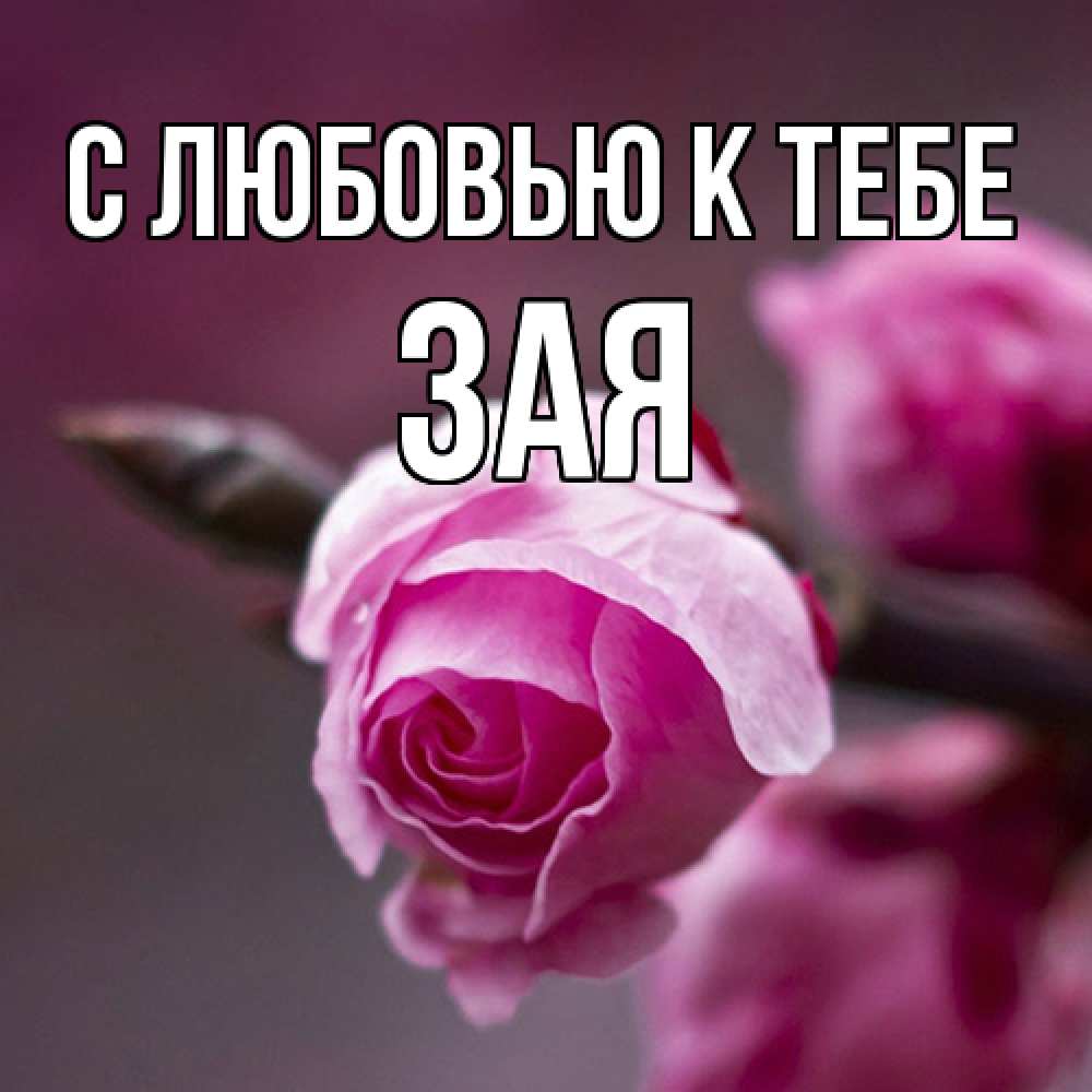 Открытка  с именем. Зая, С любовью к тебе  