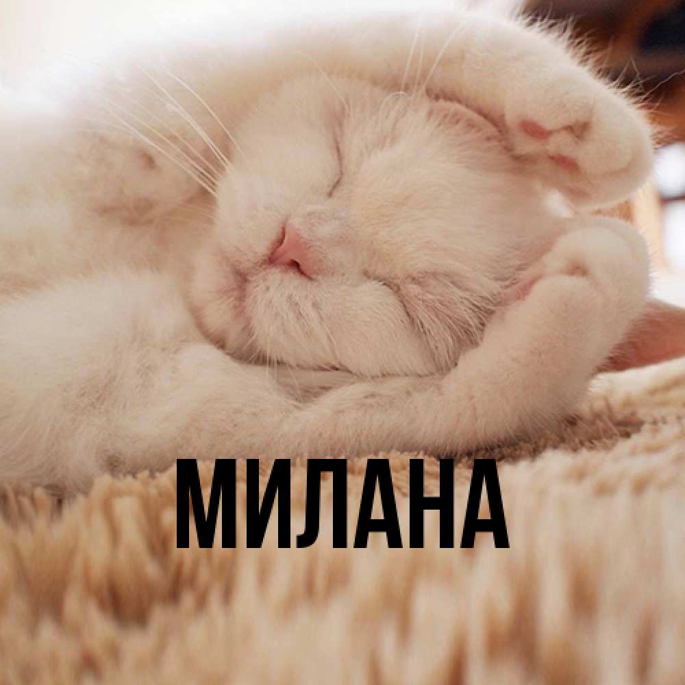 Открытка  с именем. Милана, Главная  
