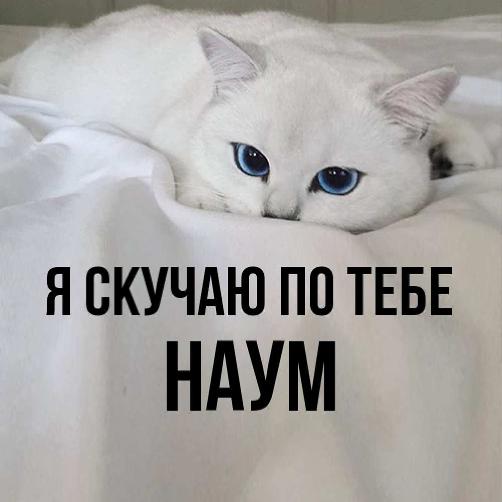 Открытка  с именем. Наум, Я скучаю по тебе  