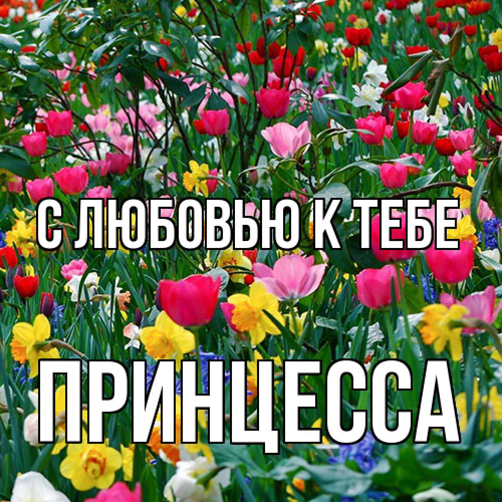 Открытка  с именем. Принцесса, С любовью к тебе  