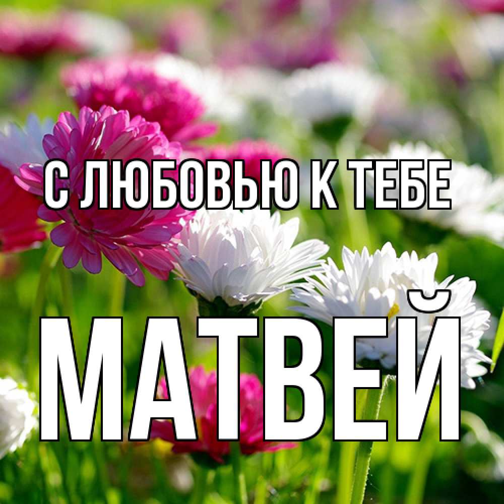 Открытка  с именем. Матвей, С любовью к тебе  