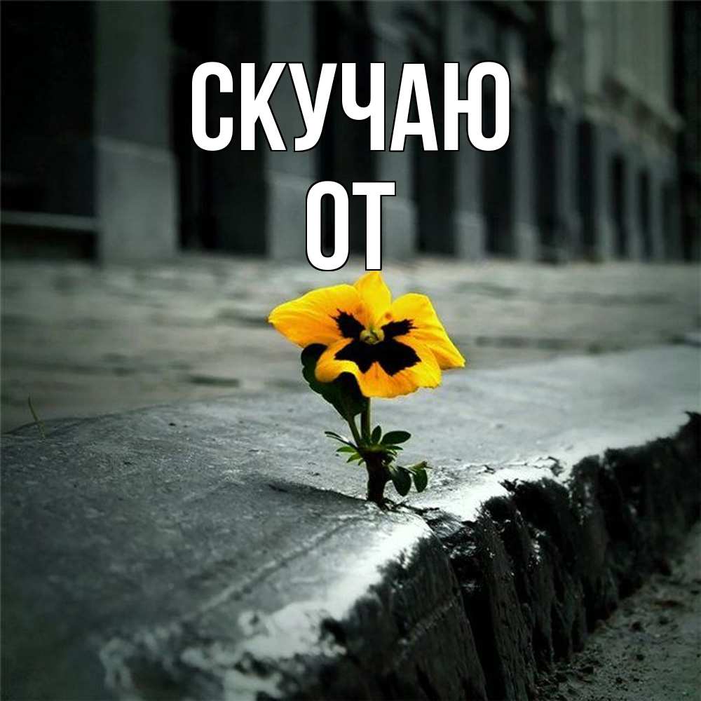 Открытка  с именем. От, Скучаю  