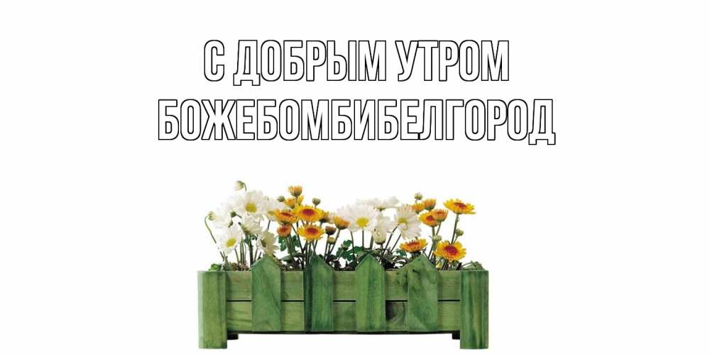 Открытка  с именем. божебомбибелгород, С добрым утром  