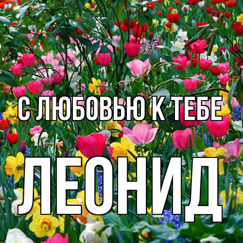 Открытка  с именем. Леонид, С любовью к тебе  