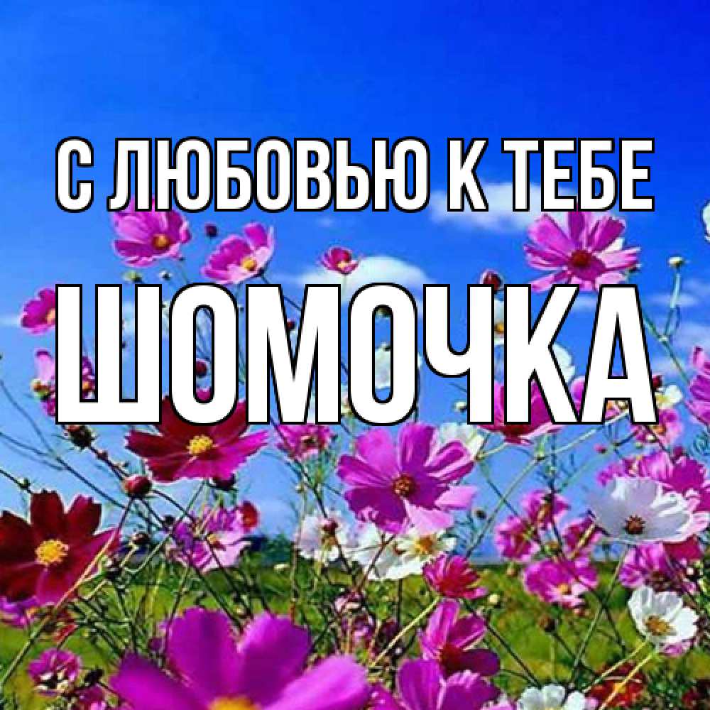 Открытка  с именем. Шомочка, С любовью к тебе  