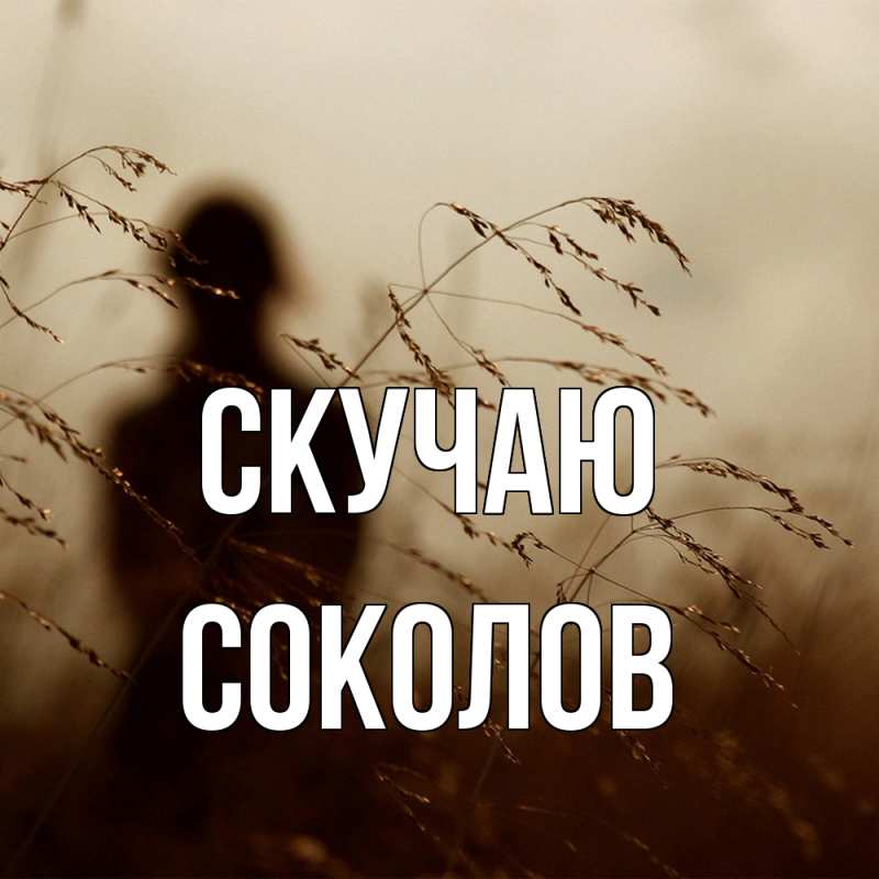 Картинка Скучаю, Соколов