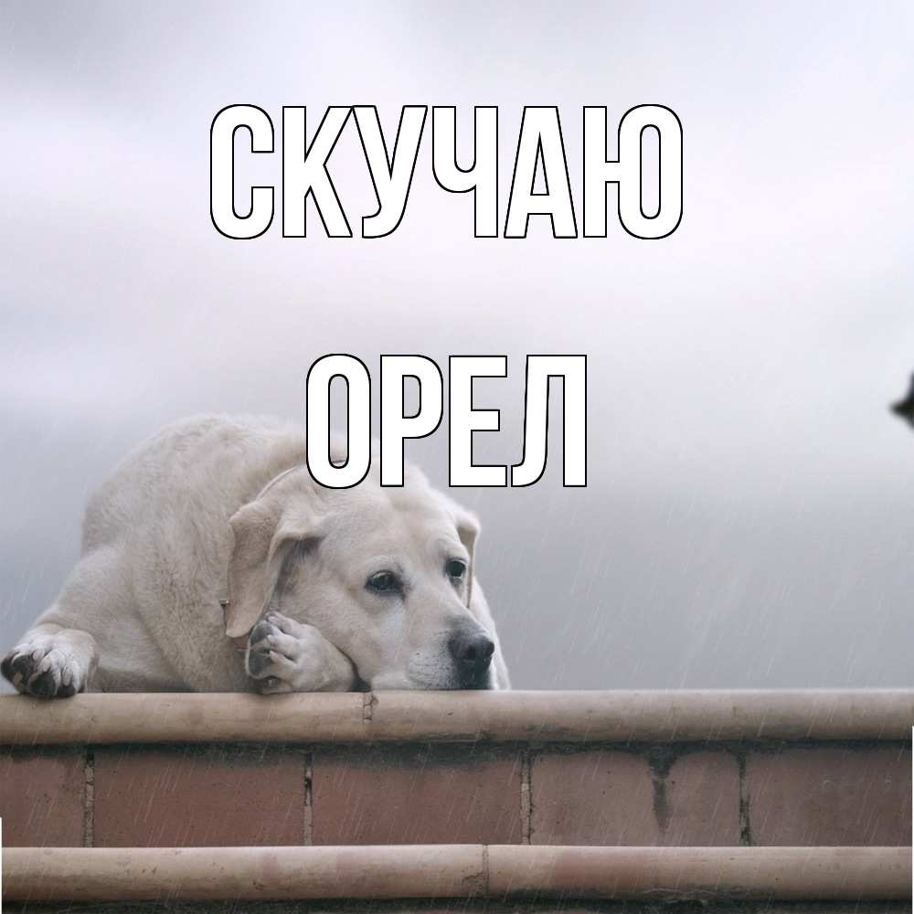 Открытка  с именем. Орел, Скучаю  