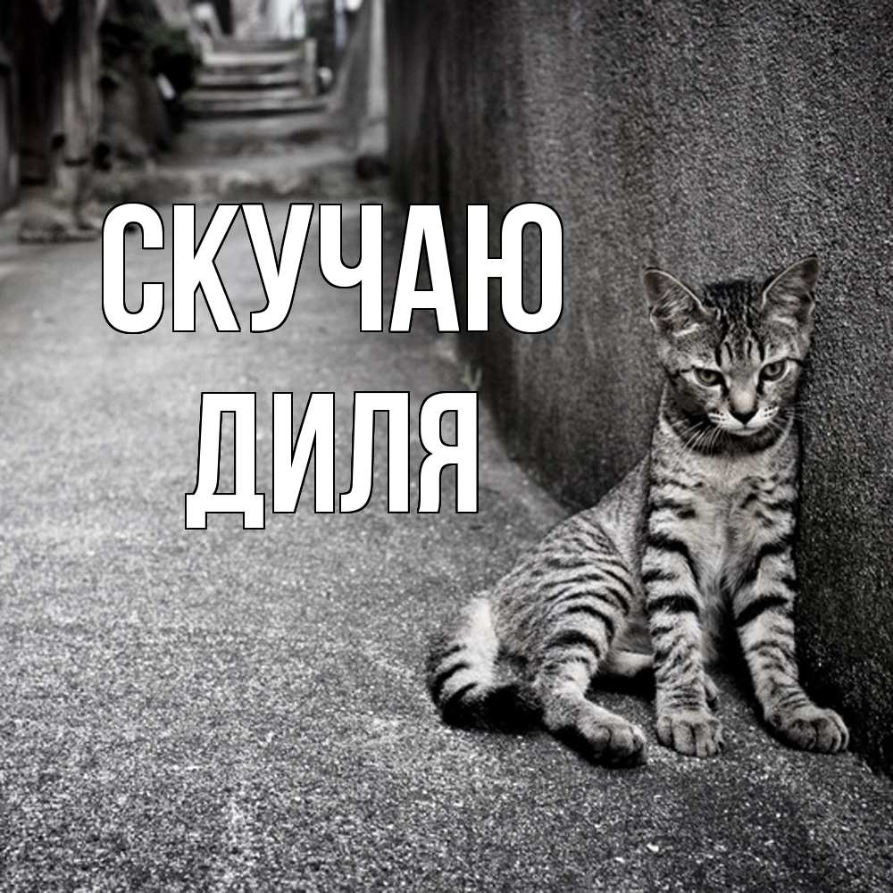 Открытка  с именем. Диля, Скучаю  