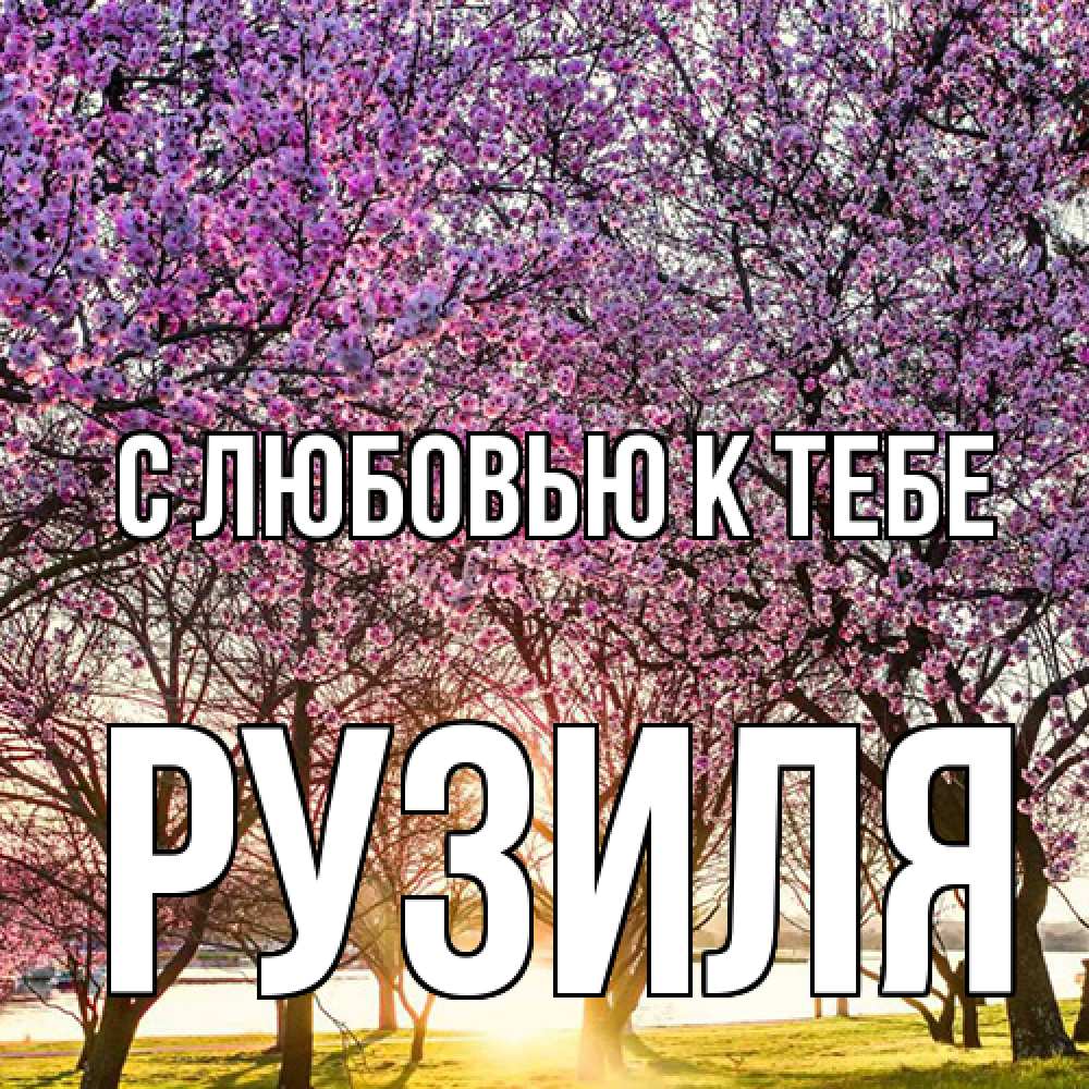 Открытка  с именем. Рузиля, С любовью к тебе  