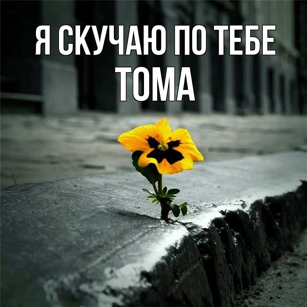 Открытка  с именем. Тома, Я скучаю по тебе  