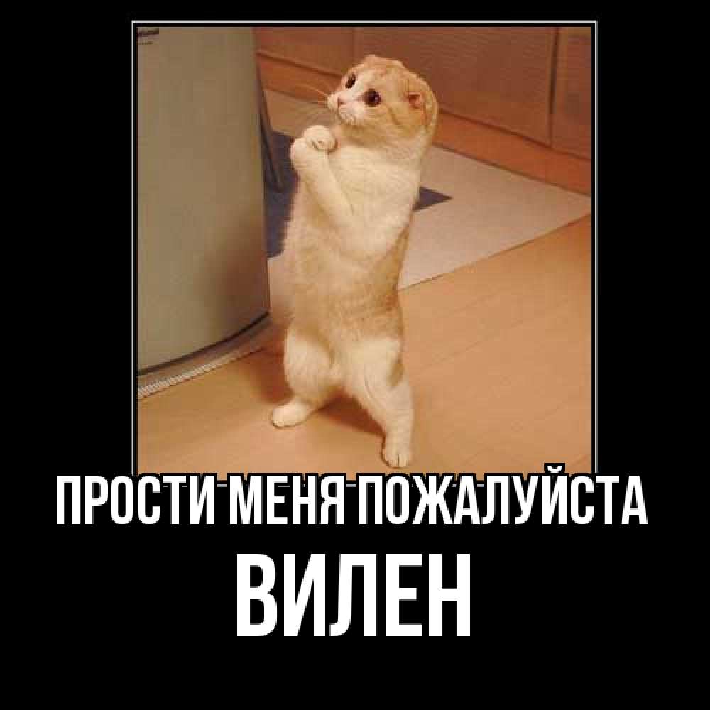 Открытка  с именем. Вилен, Прости меня пожалуйста  