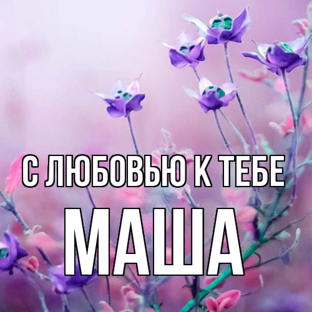 Открытка  с именем. маша, С любовью к тебе  