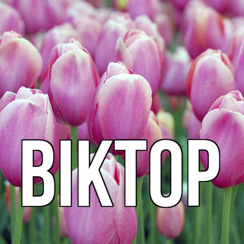 Картинка  с именем , Віктор