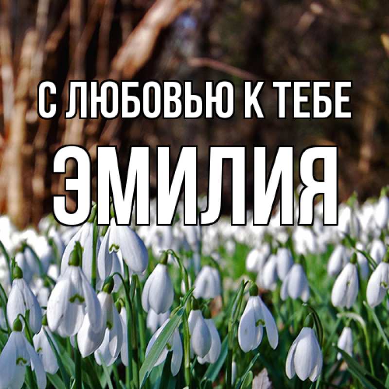 Картинка С любовью к тебе, Эмилия