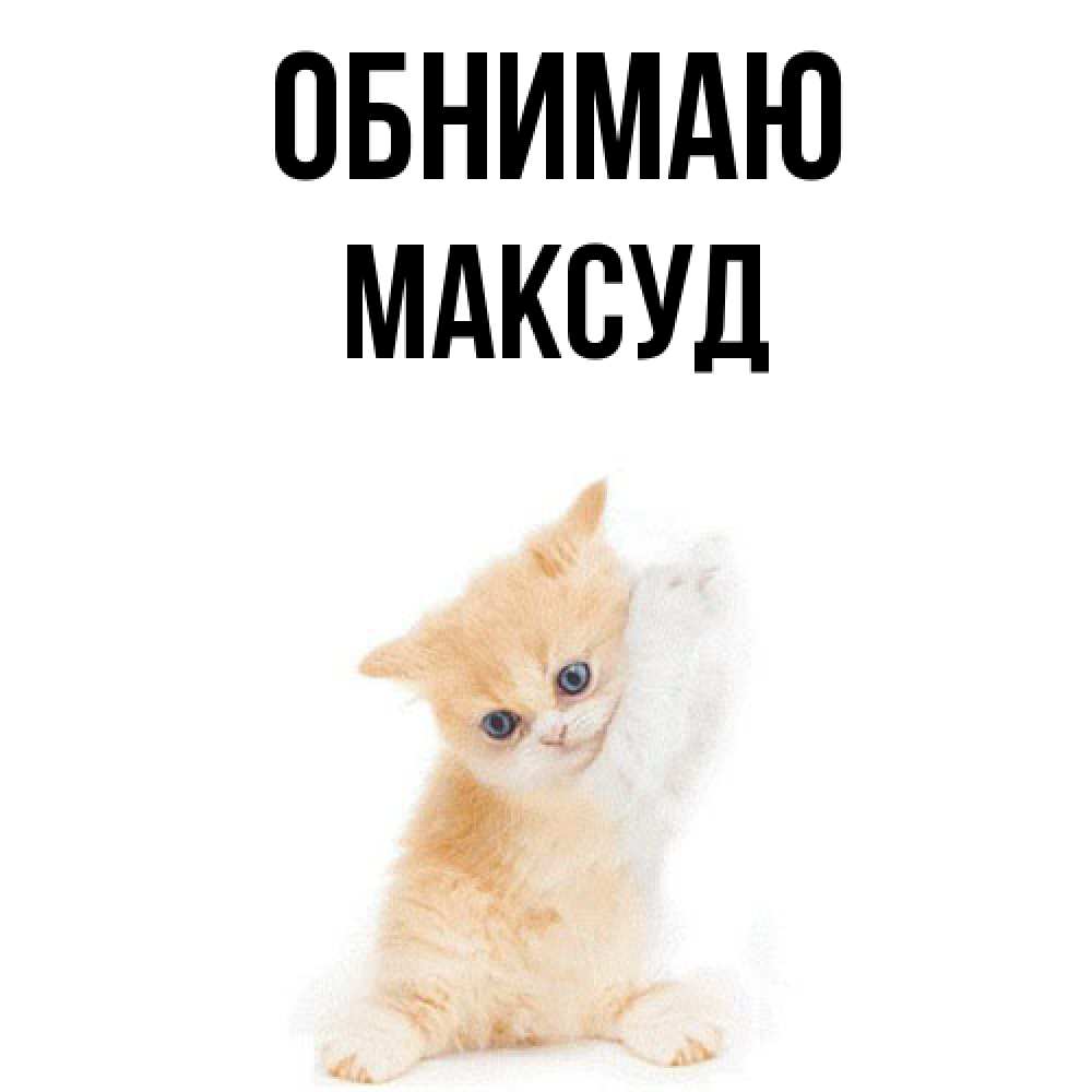 Открытка  с именем. Максуд, Обнимаю  