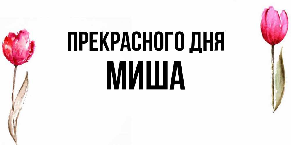 Открытка  с именем. Миша, Прекрасного дня  