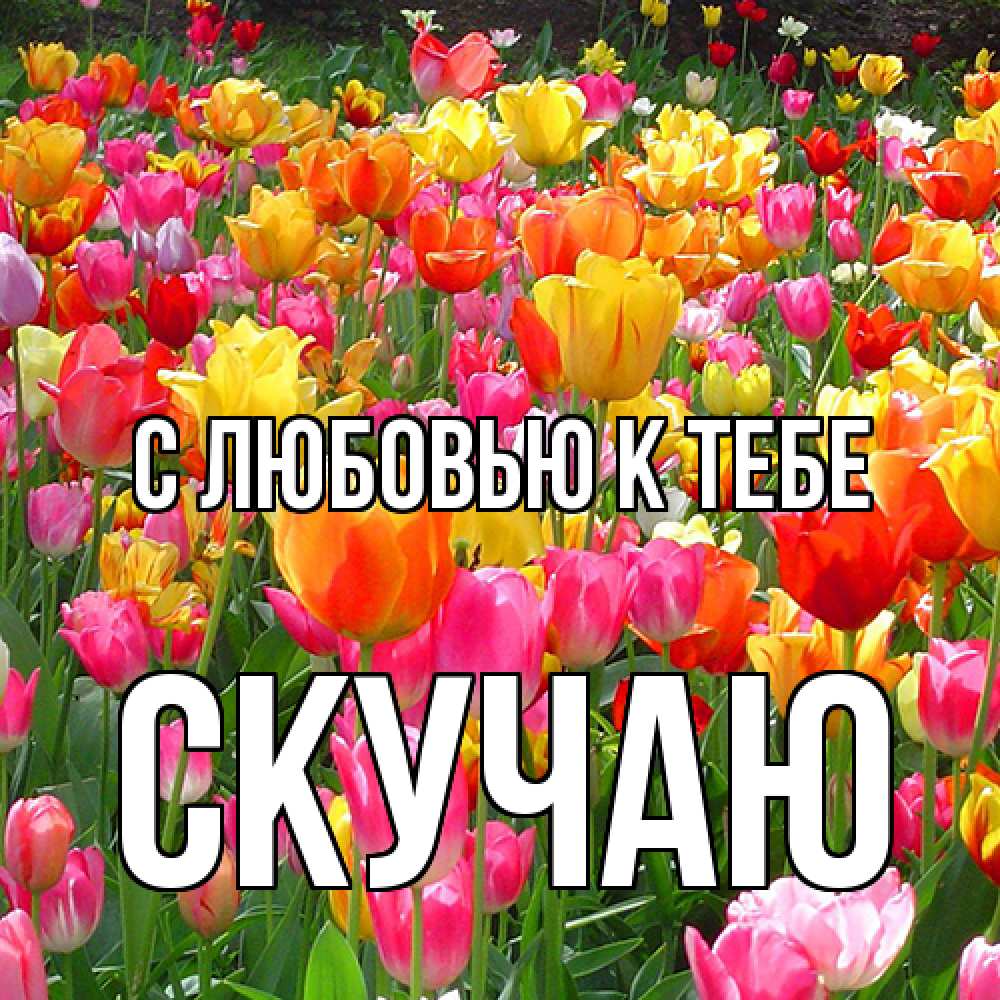 Открытка  с именем. Скучаю, С любовью к тебе  