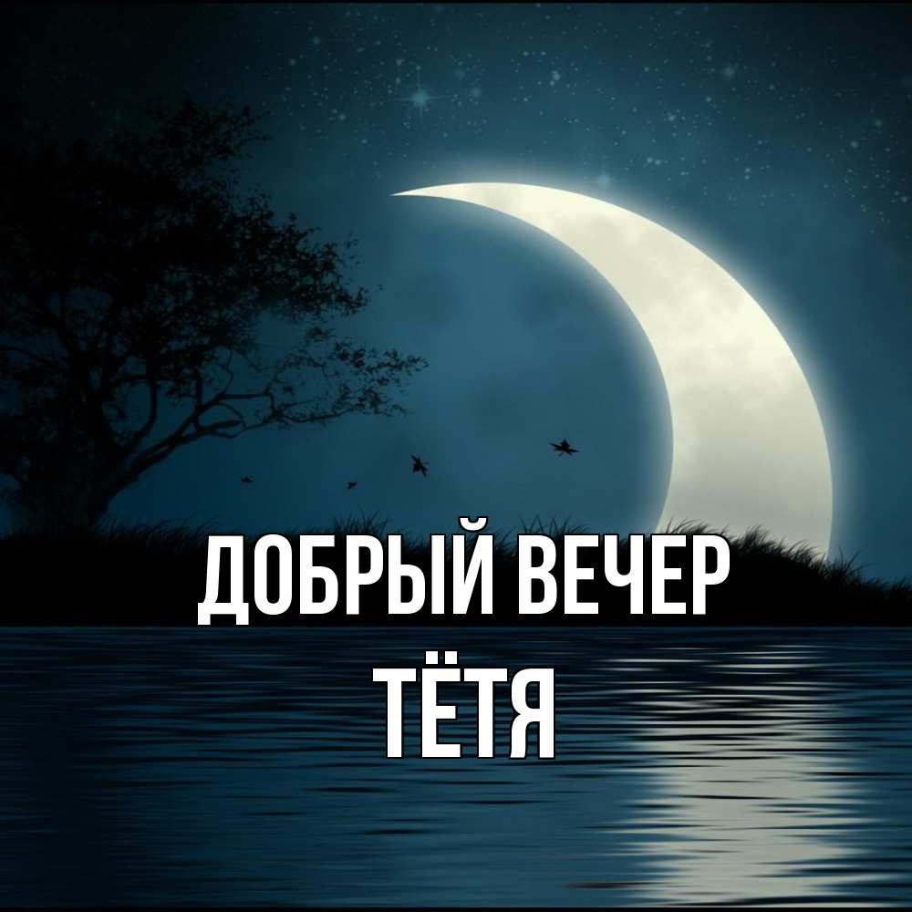 Открытка  с именем. Тётя, Добрый вечер  