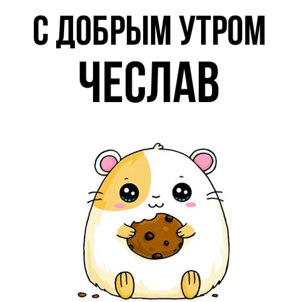 Открытка  с именем. Чеслав, С добрым утром  