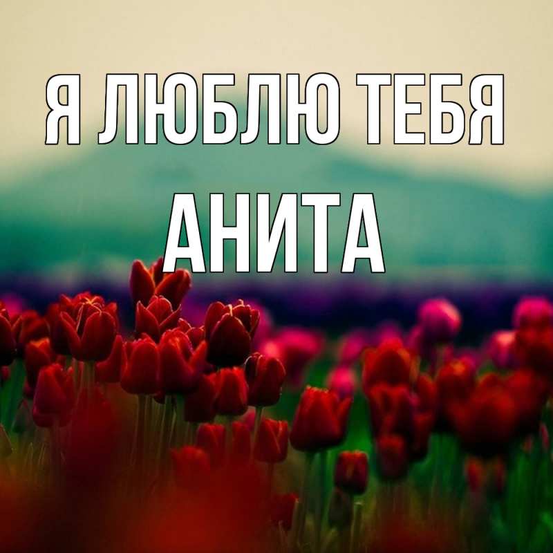 Картинка Я люблю тебя, Анита