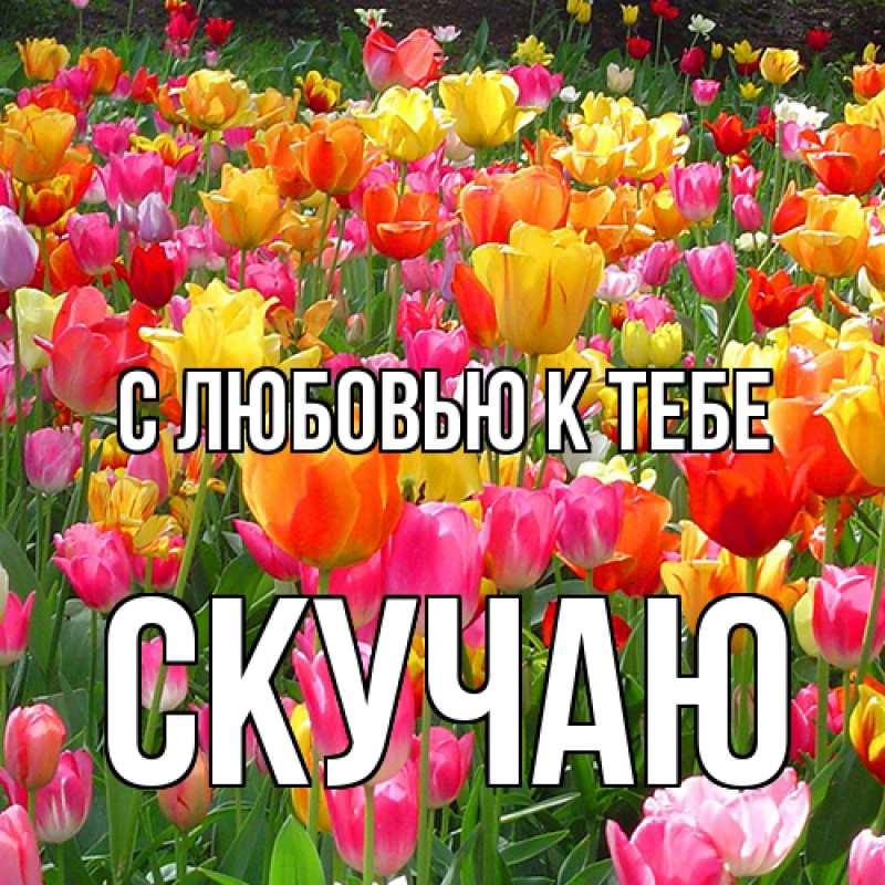 Картинка С любовью к тебе, Скучаю