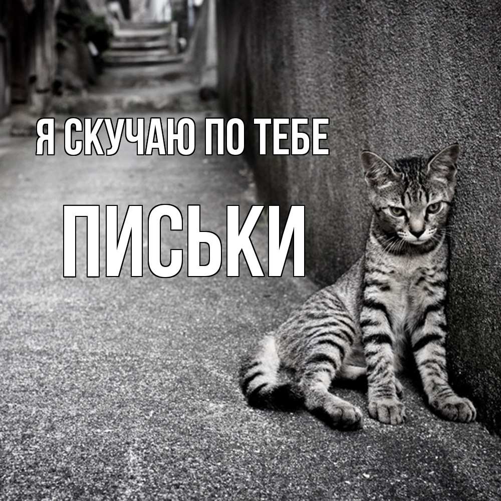 Открытка  с именем. Письки, Я скучаю по тебе  