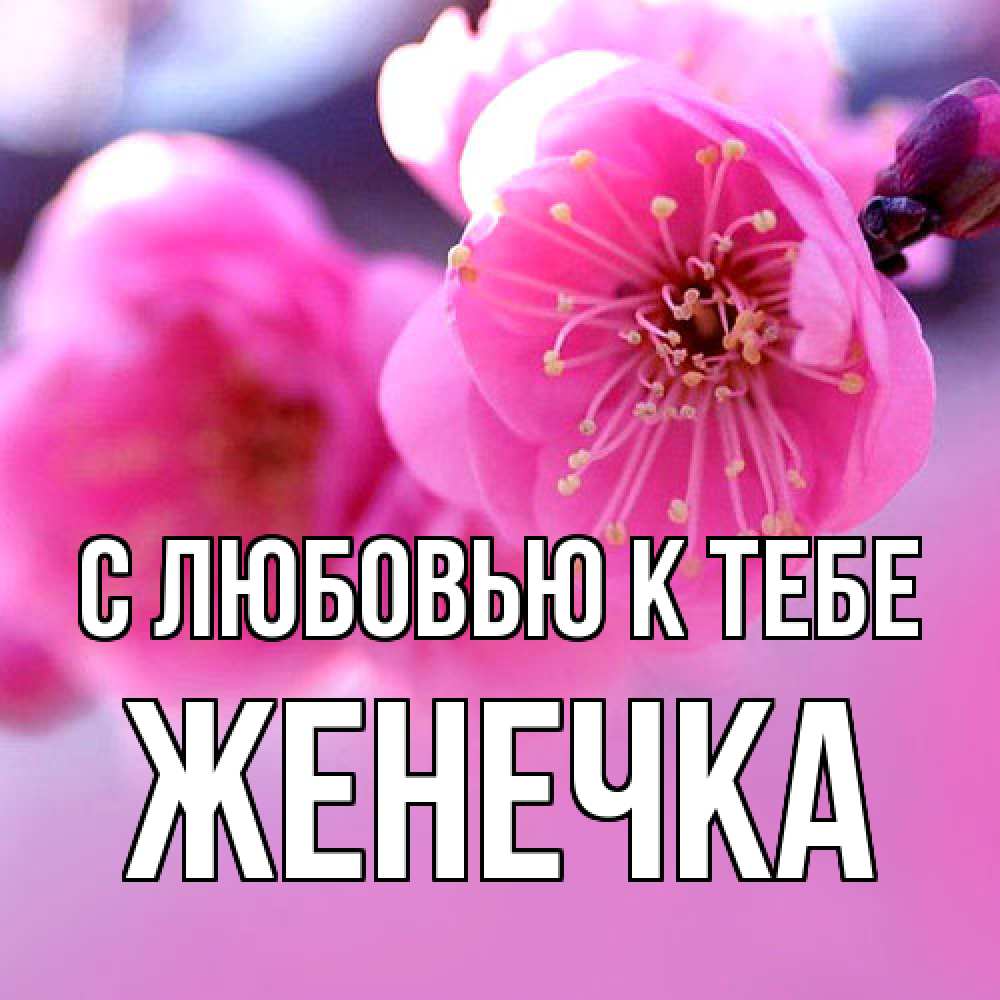 Открытка  с именем. Женечка, С любовью к тебе  